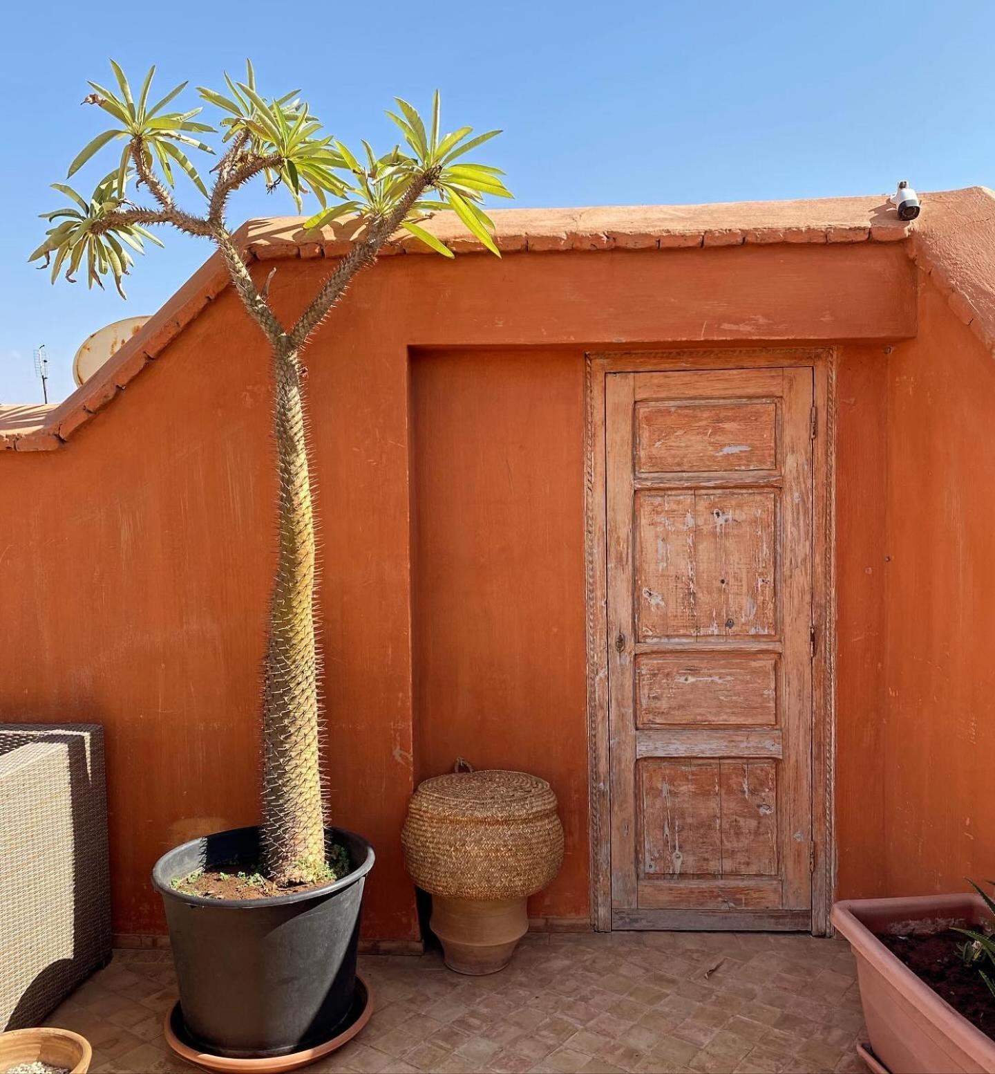 Riad Rossi マラケシュ エクステリア 写真